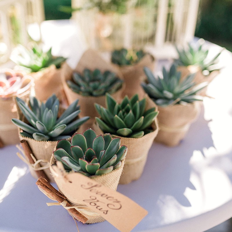 Cadeaux invités Mariage - Découvrez nos idées tendance